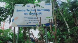 Sukateno mengawali usaha Trimandiri Farm dengan bermodalkan pinjaman Kredit Usaha Rakyat (KUR) dari BRI dan hingga kini usahanya sudah berjalan selama 9 tahun. (Dok. Bank BRI)