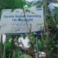 Sukateno mengawali usaha Trimandiri Farm dengan bermodalkan pinjaman Kredit Usaha Rakyat (KUR) dari BRI dan hingga kini usahanya sudah berjalan selama 9 tahun. (Dok. Bank BRI)