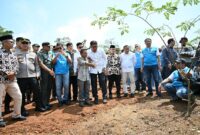 Wakil Menteri Pertanian (Wamentan) Sudaryono menghadiri peresmian pengembangan ekosistem biomassa.(Dok. Kementan)