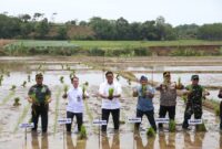 Wakil Menteri Pertanian (Wamentan) Sudaryono meninjau percepatan tanam di Kabupaten Jepara, Jawa Tengah. (Dok. Kementan)