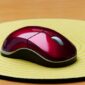 Mouse, salah satu aksesoris komputer. (Pixabay.com/Hans)